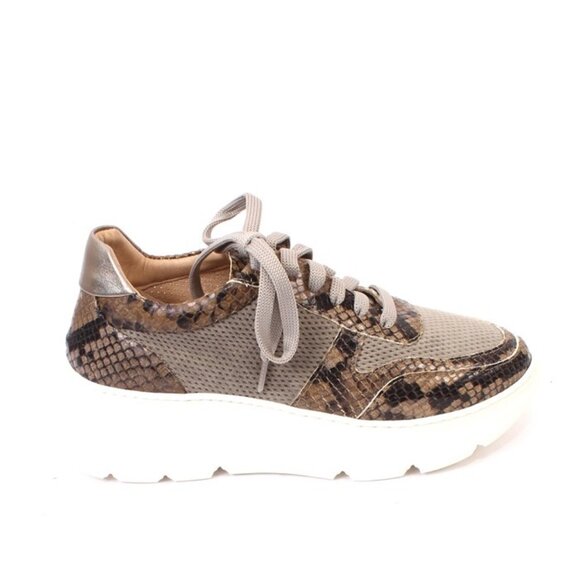 Luca Grossi 516 Multicolor Leather Lace-Up Platform Sneaker - Picture 3 of 8